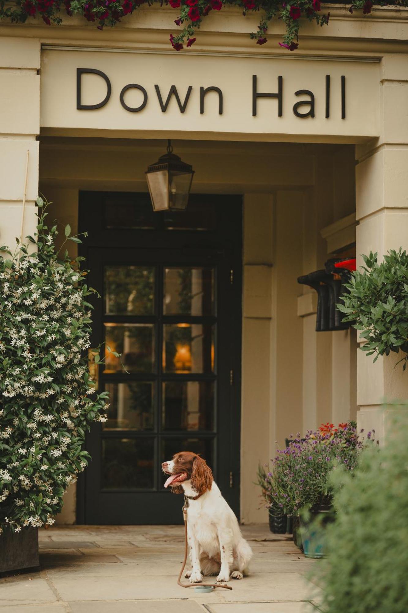 Hatfield Heath Down Hall Hotel מראה חיצוני תמונה